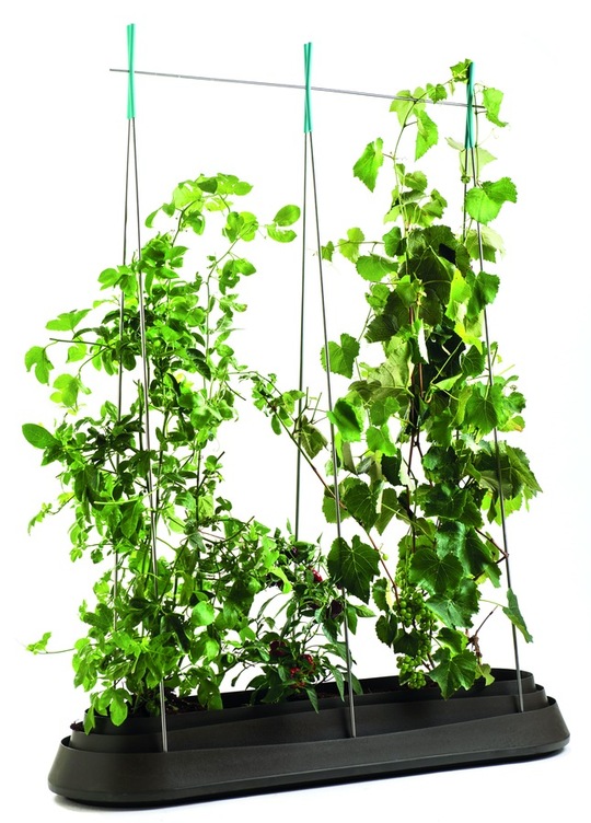 Jak wybrać doniczki balkonowe na balustradę?