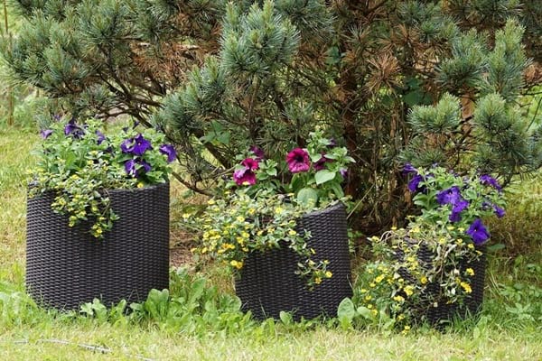 Jakie doniczki na balkon wybrać?