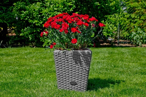 Donice ogrodowe z technorattanu - jak wybrać?