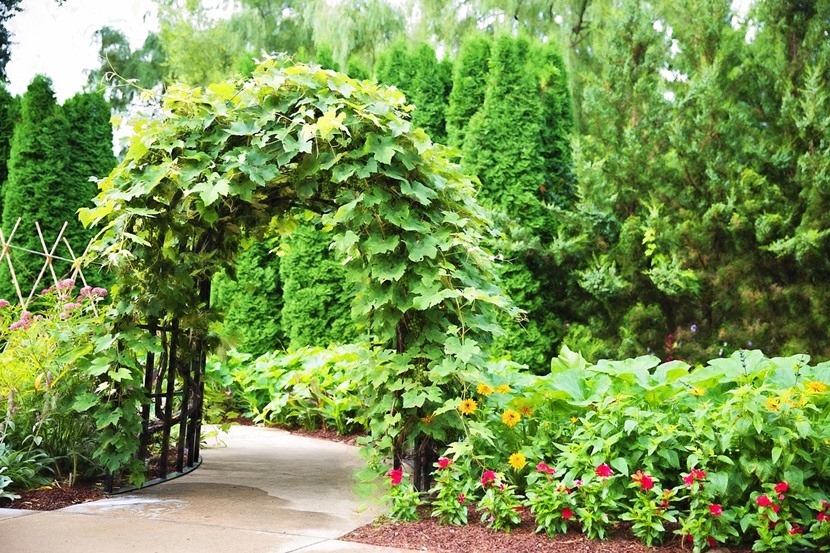 Pergola drewniana