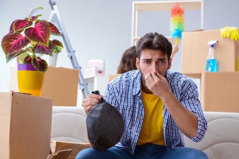 Jak usunąć nieprzyjemny zapach z mieszkania? Porady Meblobranie.pl