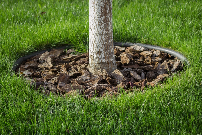 smanjiti odjek Septembra latwe koszenie obrzeza Plače bitan na vrijeme