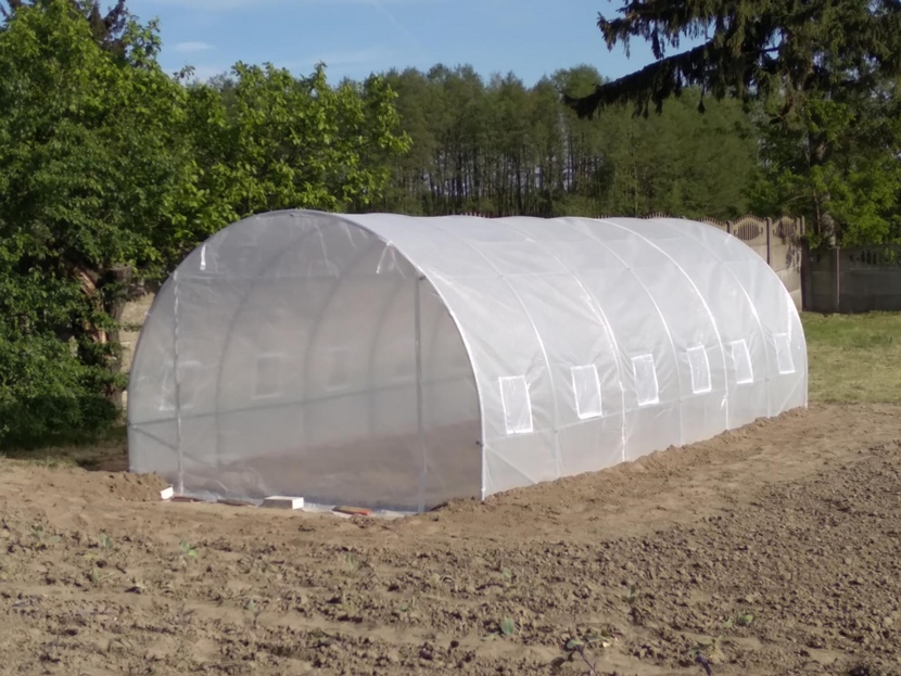 Duży tunel foliowy