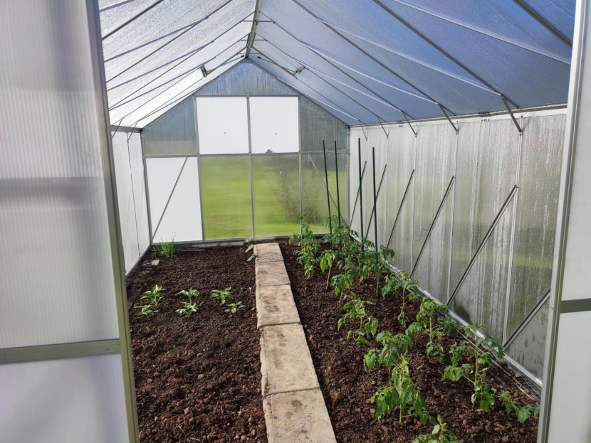 rodzaje szklarni ogrodowych i tuneli