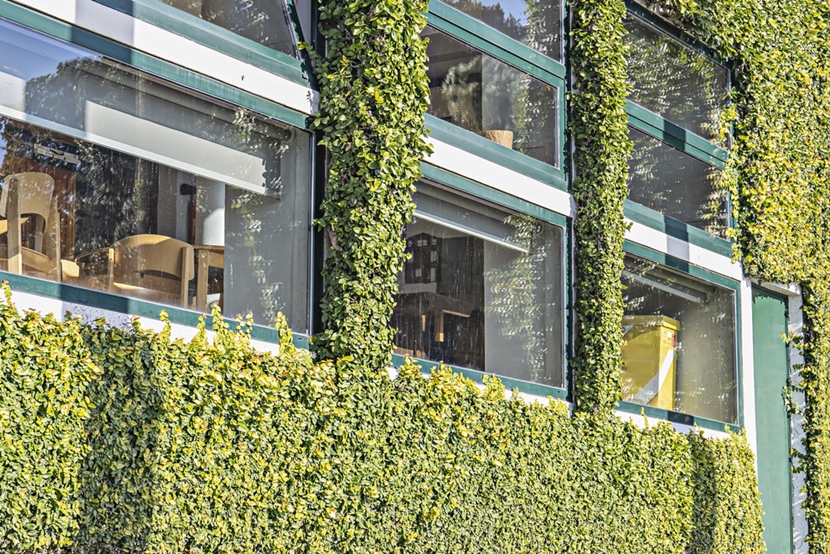 Biophilic design w ogrodzie