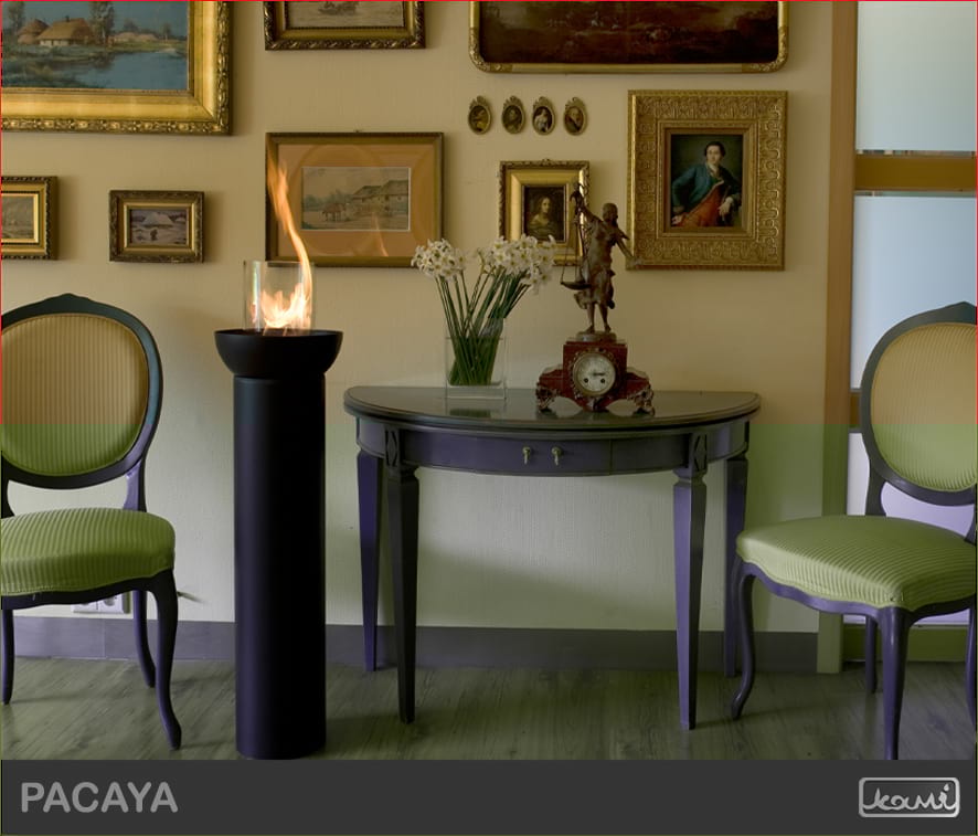 Biokomiek Pacaya biolampa