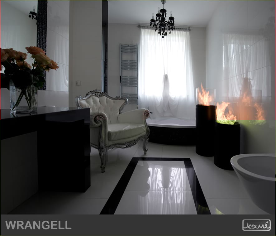 Biokominek Kami biolapma Wrangell 1100