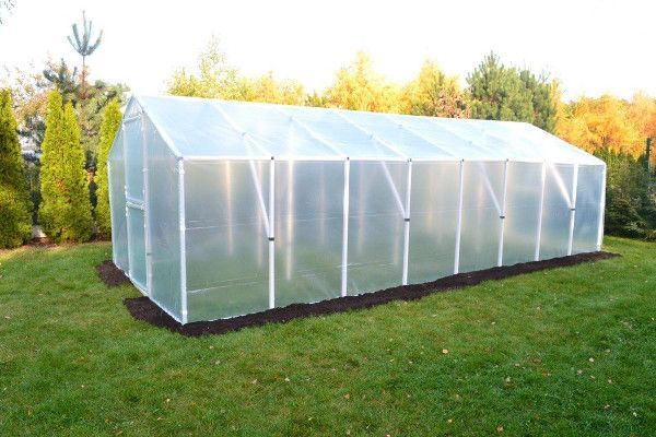 Ogórek – tunel foliowy 18m2  - bok