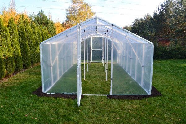 Ogórek – tunel foliowy 18m2 - front