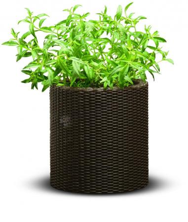 Cylindryczna doniczka Keter - Small Planter (S - 7L) - Brązowa
