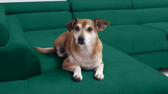 Butelkowozielony dwustronny narożnik z funkcją spania