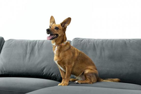 Szara kanapa narożna welurowa z funkcją spania